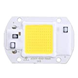 110V/220V 20W 30W 50W Bianco/Warm White COB LED Chip 40X60mm per DIY Flood Light, 20W, bianco, 1