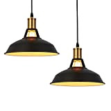 2 pezzi Lampada a sospensione industriale, lampada da soffitto retrò E27 Illuminazione decorativa,illuminazione con paralumi in metallo vintage per bar ...