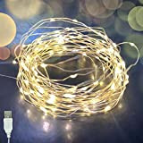 200 LED Luci Natalizie Bianco Caldo Con presa USB Led Stringa Luci Esterno Luci Stringa Esterno Cavo Trasparente per Natale ...