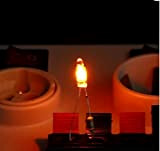 2x LAMPADINA NEON INDICATORE 10mm 220v ROSSO VERDE bulbo spia lamp diodo luce (rosso)