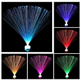 6 Pezzi Lampada LED in Fibra Ottica Cambia Colore, 7 Colori Luce Notturna Lampada Calmante per Decorazione Tavola Salotti Camere ...