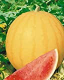 AGROBITS 10 Run WaternGIFT DEL SUN- (Darok Soln) Heirloom Frutta