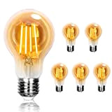 Aigostar Lampadina Stile Decorazioni Vintage Edison, Lampadina LED E27 6W(Equivalente A 47W), 2200K Bianco Caldo, 600 Lumens, Pacco da 5