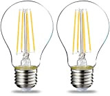Amazon Basics - Confezione da 2 lampadine a LED, con attacco Edison E27, piccole, da 7 W (equivalenti a 60 ...