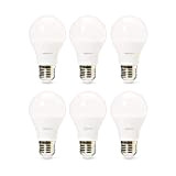 Amazon Basics - Confezione da 6 lampadine a LED professionali, con attacco Edison E27, piccole, equivalenti a 60 W, luce ...