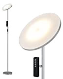 Anten Grigio LED Lampada da Terra Soggiorno, 20W Piantana Lampada, Lampada da Pavimento, 3 Temperatura di Colore, con Telecomando