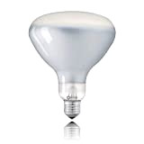 ATLAS Lampadina LED E27 2700K R125 floss lampada parentesi a led dimmerabile Frosted Satinata, Luce Calda 11W da Basso Consumo