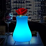 Augrous LED Luce notturna 16 Colore Mutevole Vaso Lampada Impermeabile Plastica ricarica con Telecomando