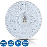 Bakaji Circolina Corona LED Disco per Sotituzione Neon Plafoniera Luce 80 LED 40W 3600 Lumen Bianco Naturale 4000K Diametro 25cm ...