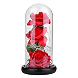 Beauty And The Beast Rose, Lampada a Forma di Rosa di Seta Rossa incantata Che Dura per Sempre con fasci ...