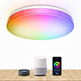 Bewahly Plafoniera LED WiFi, 28W Smart Lampada LED Soffitto RGB Dimmerabilie, Controllo da APP, Compatibile con Alexa e Google Home, ...
