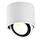 Budbuddy 15W LED Spot light Faretti da soffitto orientabile Faretti Lampada superficie rotanti plafoniere faretto moderna interno per ufficio soggiorno ...