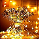 Capodanno3M 6M 10M LED star light string fiaba ghirlanda impermeabile decorazione di nozze di Natale batteria / alimentatore usb usb ...
