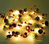 Catene Luminose 2M 20 LED,Led Stringa Luci a Batteria,Stringa Luci Pigne Lucine, Ghirlanda Luminosa LED Decorative per Natale Matrimonio Decorative ...
