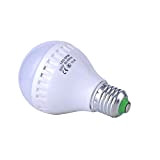 Chendongdong – Confezione da 1 15 W 220 V LED lampadina economica lampadine a LED Equivalente di ricambio 15.0 wattsW, 220.00 voltsV