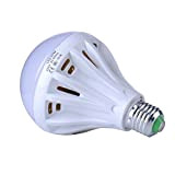 Chendongdong – Confezione da 1 25 W 220 V LED lampadina economica lampadine a LED Equivalente di ricambio 25.0 wattsW, 220.00 voltsV