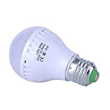 Chendongdong confezione da 1, Lampadina a LED 12 W, 220 V, sostituisce lampadine LED di ricambio, economico 12.0 wattsW, 220.00 ...
