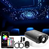 CHINLY Bluetooth 16W RGBW LED Fibra Ottica Star Plafoniere Kit APP/Telecomando 260 pz*0,75mm*2m Fibra Ottica per Casa/Auto