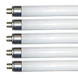 Confezione da 5 tubi fluorescenti T5 da 525 mm, 53,3 cm, luce bianca fredda, 4000 k, 13 W