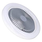 Cryfokt Ventilatore da Soffitto con Luci, Illuminazione Dimmerabile a LED Silenziosa da 30 W con 3 Ingranaggi, Plafoniera da 9,8 ...