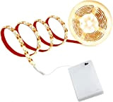 cuzile, striscia di luci a LED bianche, 100 cm, scatoletta con batterie, interruttore, funzionamento a batteria, bianco caldo 5.0volts