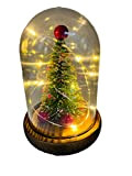 Decorazioni Natale Campana con Albero cupola natalizia Alta 15 cm con Base in legno e 20 Micro LED a Luce ...