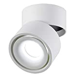 Dr.lazy 10W LED Spot light Faretti da soffitto,Faretto Lampada,plafoniera faretto,Lampade da soffitto,Faretto Orientabili,Faretti da muro,10x10x10CM (Bianco-6000K)