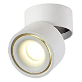 Dr.lazy 10W LED Spot light Faretti da soffitto,Faretto Lampada,plafoniera faretto,Lampade da soffitto,Faretto Orientabili,Faretti da muro,10x10x10CM (Bianco-4000K)