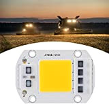 GAESHOW 50W 220V Bianco Caldo ad Alta Tensione COB Chip Sorgente Luminosa ad Alta Potenza LED per Accessori per Illuminazione ...