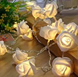 Ghirlanda luminosa a led di 10 rose bianche luce calda 2 mt petalo bianco cavo trasparente per addobbi e decorazioni ...