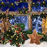 Ghirlande di Bacche Rosse di Natale Luci 6.56 FT 20 LED a Batteria Luce di Fata a Corda Bianca Calda ...