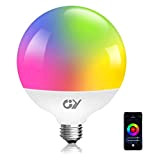 GY Lampadina WiFi Smart globo,23W lampadine a E27 casa intelligente 2500LM ,Multicolore regolabile RGBCW dimmerabile bulbo, applicazione di controllo 2700k-6500k, ...