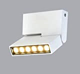 HAOFU 12W LED Spot light Faretti da soffitto orientabile/Faretto Lampada/Lampade da soffitto/3000K Bianco caldo/13.3*11.6*2.6 CM/Aluminum (Bianco+Bianco caldo)