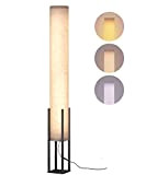Homuserr Lampada da Terra Salotto, Lampada da Terra Dimmerabile 30W 2800-7000, 5 Temperature di Colore e Oscuramento Continuo, Decorazioni Moderne ...