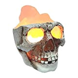 HONTIN Creativo 3D Skull Lamp Himalayan Slat Nightlight Yoga Studio Lights Ornament