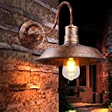 iDEGU Applique da parete Vintage Industriale, 26 cm Lampada da Parete Interni E27 Lampada per Sala da Pranzo, Cucina, Ingresso, ...