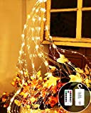 Joysing Fascio di Luci 2 M 200 LED Luci di Natale a Batteria，8 Modalità Luci a Cascata con Telecomando, Impermeabili ...