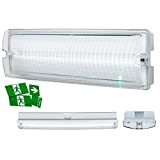Knightsbridge - Paratia di emergenza a LED, 230 V, IP65, 4 W, colore: Bianco