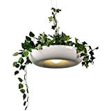 Lampada a sospensione a LED Giardini pensili di piante Lampada vasi in vaso Personalità creativa nordica Cucina Lampadario a isola ...