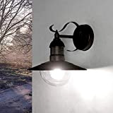 Lampada da parete classica/Lampada per esterni/Lanterna per Giardino/Oro Antico / IP44 / LE2/1/891