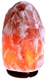 Lampada di sale rosa dell’Himalaya originale 3/4 kg, 100% Naturale, base in legno, 1 lampadina con spina Europea conforme a ...
