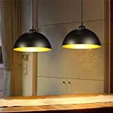 Lampadari a Sospensione Vintage Undustriale, Set da 2, Diametro 30cm, Adatti per Lampadine LED E27 Non Incluse, Lampada da Soffitto ...