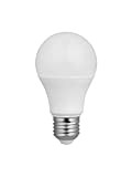 LAMPADINA LED E27 13W 1100 lumen - Modello Classico Luce Fredda 6000°K (Classe Energetica A+)