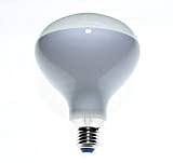 Lampadina per parentesi Flos R125 7,5W LED