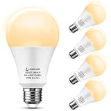 Lampadine LED E27, LOHAS Lampadina 23W (equivalenti a 200 W), Bianco Caldo 2700K 2500LM, Non Dimmerabile, Confezione da 4