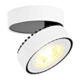 LANBOS 12W LED Spot light Faretti da soffitto orientabile/Faretto Lampada/Lampade da soffitto/3000K Bianco caldo/100x 60MM/Aluminum (Bianco+Bianco caldo)