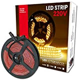 LED ATOMANT Striscia LED 5m Impermeabile (IP65). Per uso Esterno. Diretta a 220V, 12W/m. 120 LED/m. 60W. Taglio ogni 10cm. ...