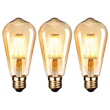 LED Lampadina Vintage Edison 6W E27 2700K Edison lampadina Vintage Retro Stile Lampadine Decorativo luce filamento della lampadina (3 pezzi)