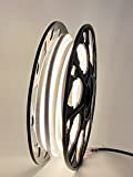 LEDZEIT- Profi Serie - Striscia luminosa LED neon flex 20m, esterno e interno, bianco caldo 3000K, dimmerabile, diffusione, 230V, IP65, ...