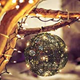 Lewodnr Luce Decorativa per Natale, Luce Appesa per Casa, Luce a Palla da Interno,luci Natale Calde,Ornamento di Natale Lampada Decorativa ...